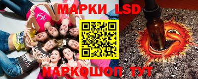 стафф Донской