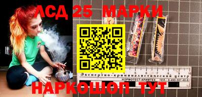 стафф Донской