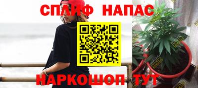 a pvp Дубна