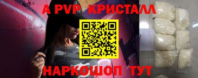 стафф Донской