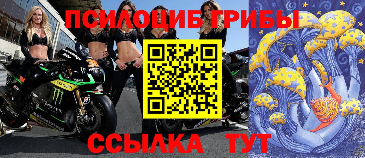 Люберцы  Галлюциногенные грибы Psilocybine cubensis  Вход с VPN  Псилоцибиновые грибы мухоморы 