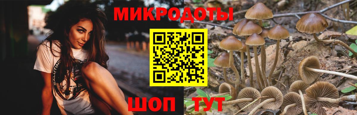 Псилоцибиновые грибы MAGIC MUSHROOMS Люберцы